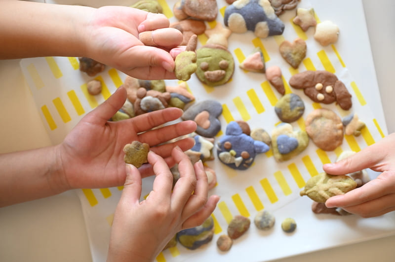 簡単＆楽しい！ 粘土のように遊べるクッキー生地「coloridoh」 | ALL