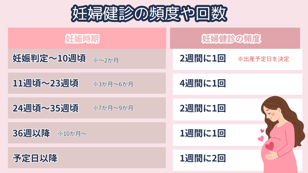 産婦人科医監修】妊婦健診の頻度は？何週ごとに受ける？検査内容も解説